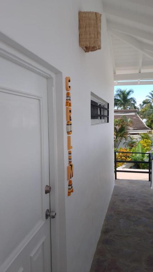 New Moringa Apartment Las Terrenas Bagian luar foto